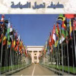 كيف تعمل السياسة